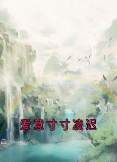 爱意寸寸凌迟