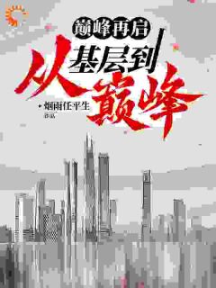巅峰再启：从基层到巅峰