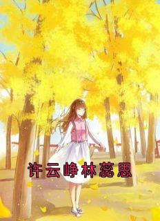 许云峥林蕊思