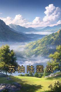 苏柚陆霆风