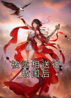 被丞相送往敌国后