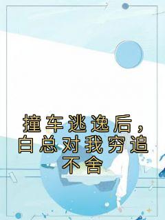 于恬恬白逸辰全章节阅读-撞车逃逸后，白总对我穷追不舍全文分享阅读