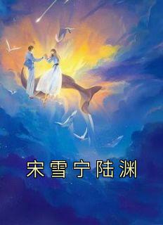 宋雪宁陆渊