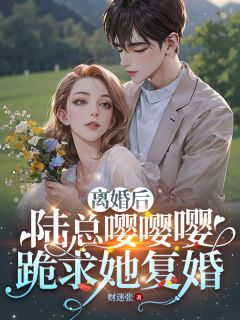 免费完结小说《离婚后，陆总嘤嘤嘤跪求她复婚沈曦陆铮》无弹窗免费阅读